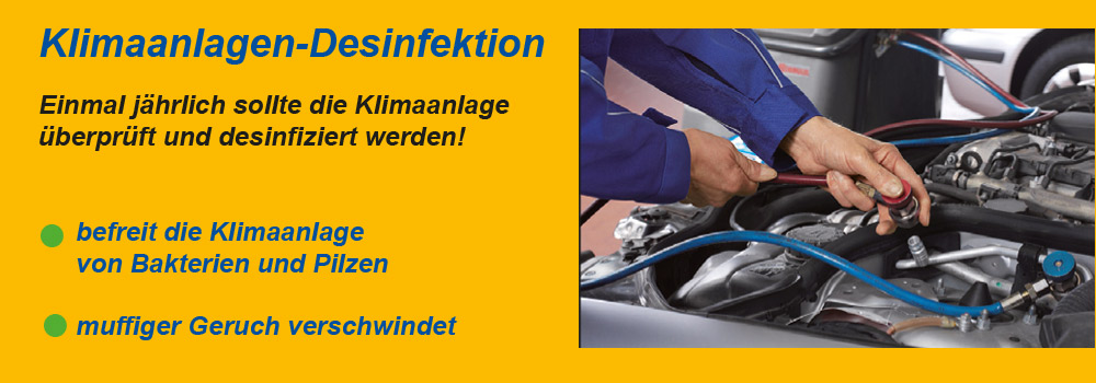 Klima Desinfektion / Geruchsentfernung Fahrzeuginnenraum